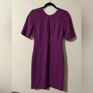 Diane Von Furstenberg Purple Crepe Paneled Wilma Midi Dress size S